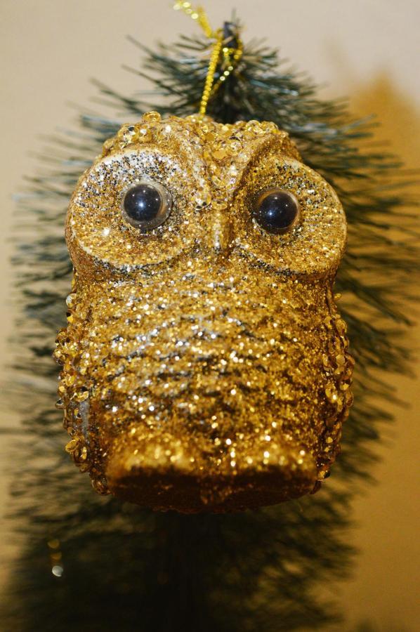 Owl Home Odessa Cozy Spacious Apartment In A Quiet Center Between Deribasovskaya And Privoz Esterno foto